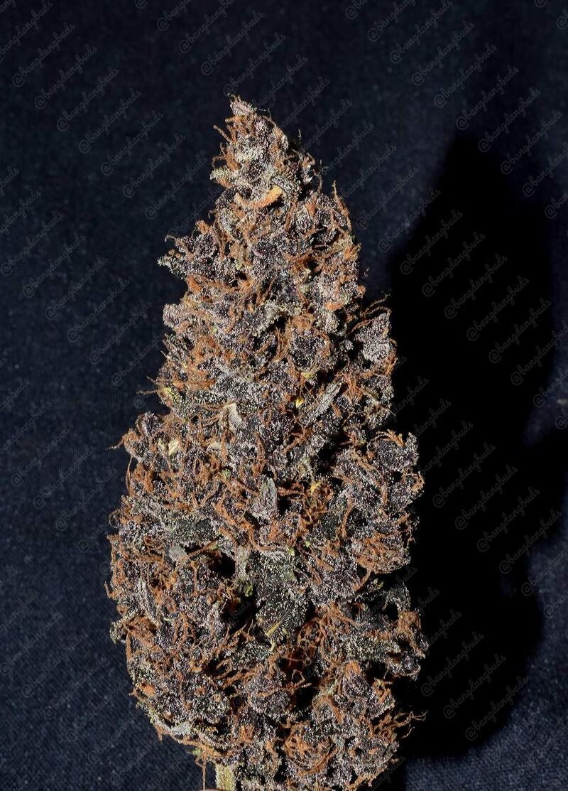 Purple Lemonade Auto, Фасовка: 5, изображение 3
